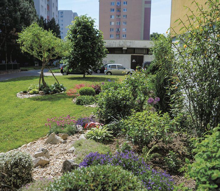 Predzáhradka číslo jedenásť na Hrobákovej ulici v Petržalke.