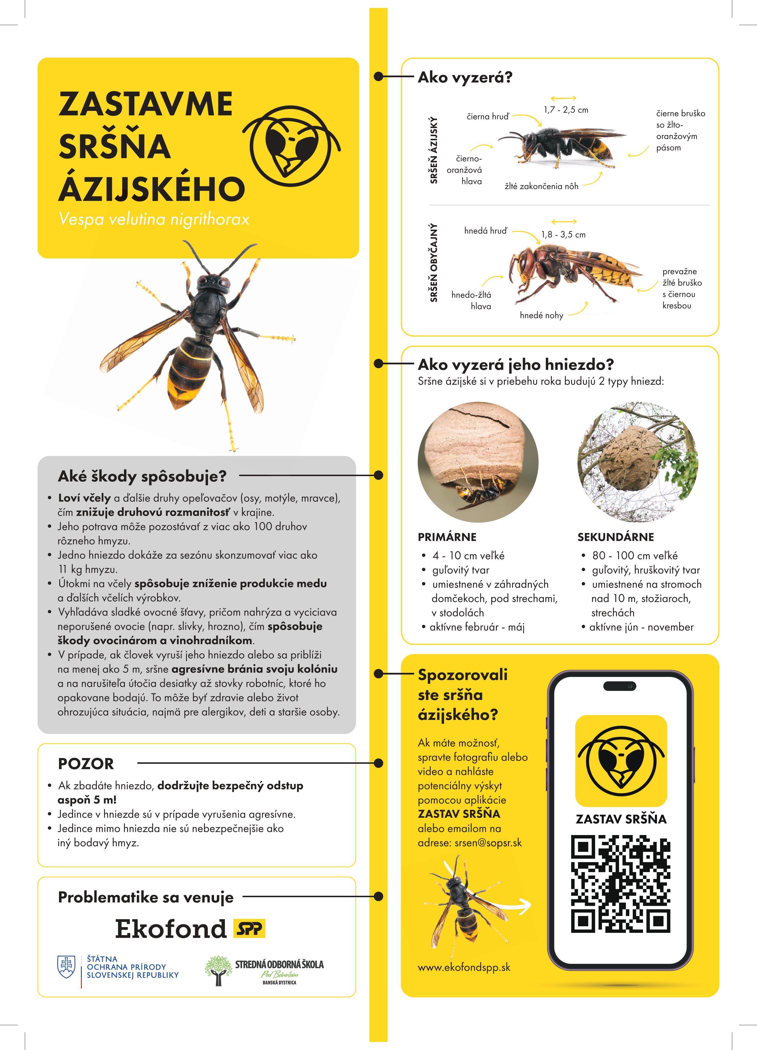 srsen_azijsky_infografika_A4_press_824be091f6.jpg